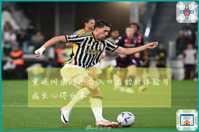 重返问鼎pg平台入口后的新体验与成长心得分享