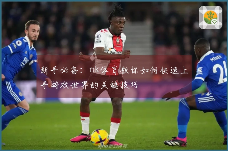 新手必备：mk体育教你如何快速上手游戏世界的关键技巧